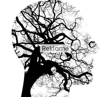 Sundhed kommer også indefra