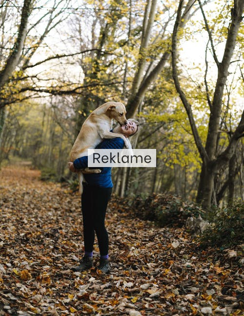 Har du svært ved at komme i gang med de sunde gåture? Få gode råd her